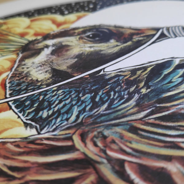 guillem bosch_peacock detail3