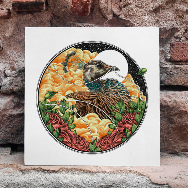 peacock-glicee